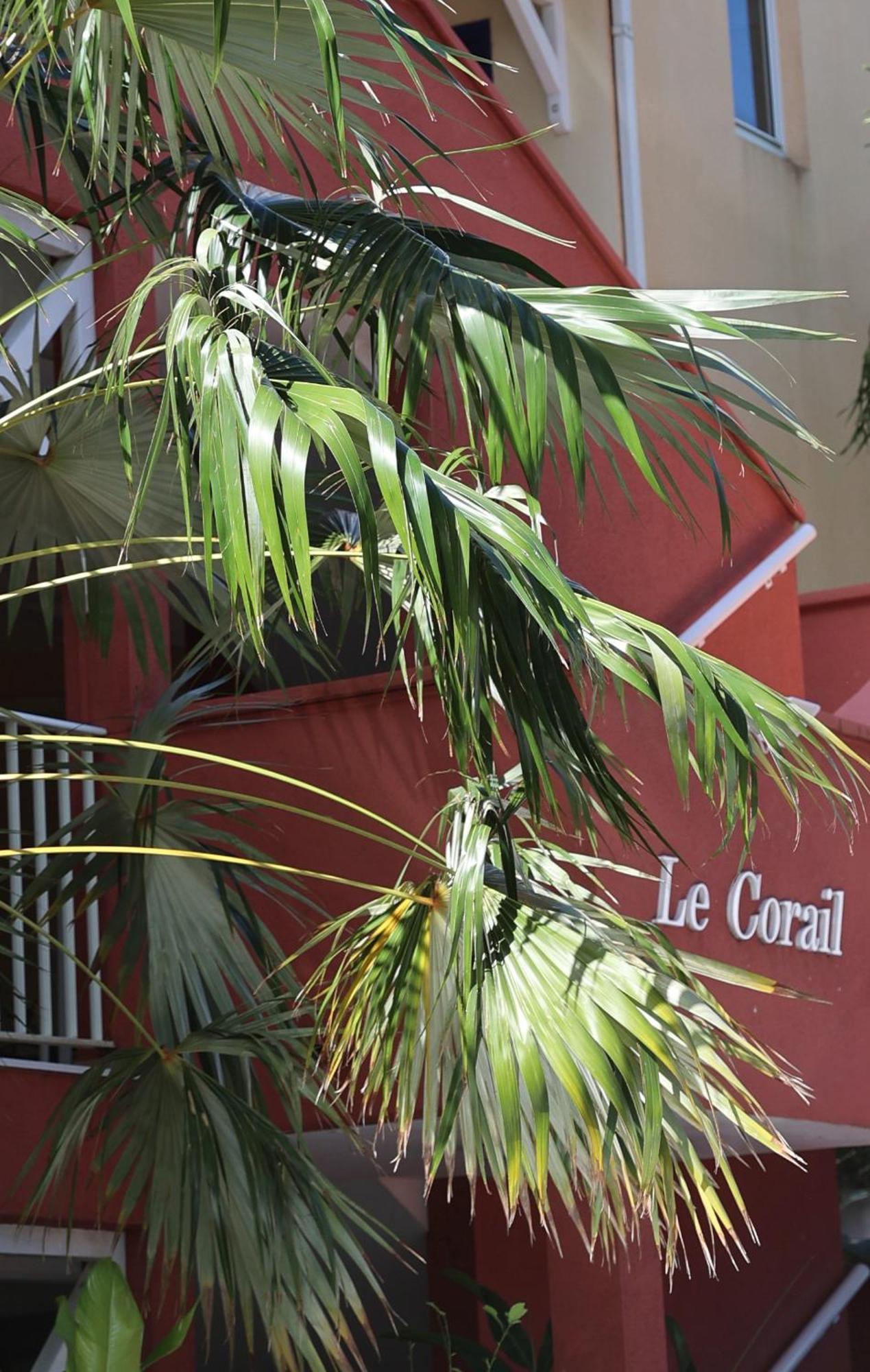 Le Coco Διαμέρισμα Le Gosier  Εξωτερικό φωτογραφία